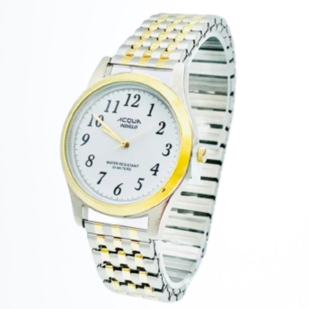 Acqua Indiglo Men's Steel Gold Tone Watch